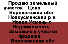 Продаю земельный участок › Цена ­ 400 000 - Воронежская обл., Новоусманский р-н, Новая Усмань с. Недвижимость » Земельные участки продажа   . Воронежская обл.